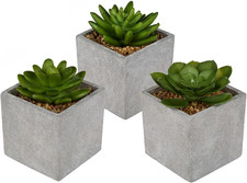 Set 3 Piante Grasse Artificiali Con Vaso 8 X 8 X 10 Cm