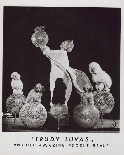Trudy luvas barboncino revue - trudy,