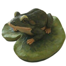 Ninfea galleggiante con rana