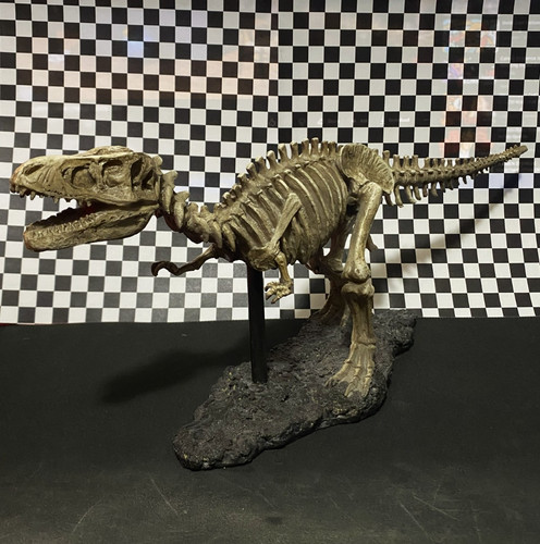Tyrannosaurus rex scheletro - tyrannosaurus,