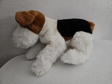 Commonwealth Fox Terrier Puppy