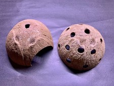 2 Pezzi Acquario Conchiglia di