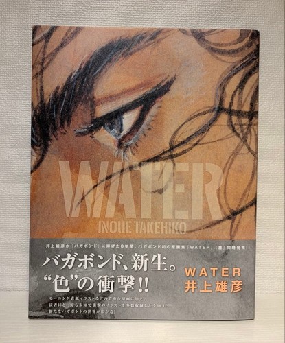Libro arte vagabondo acqua - d'arte,