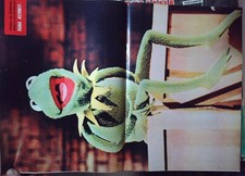 RITAGLIO POSTER LA RANA KERMIT