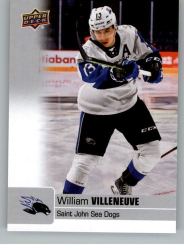 Upper deck 2019 - 2019-20, hockey