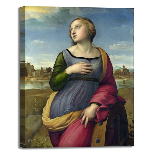 Raffaello caterina - s.,