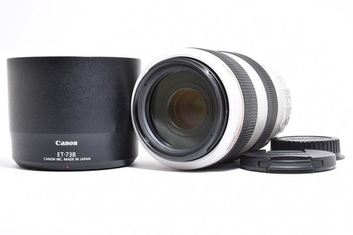 Canon 300 4 5 6l - ef, f/4-5.6l
