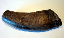 Pezzo corno bufalo - di,