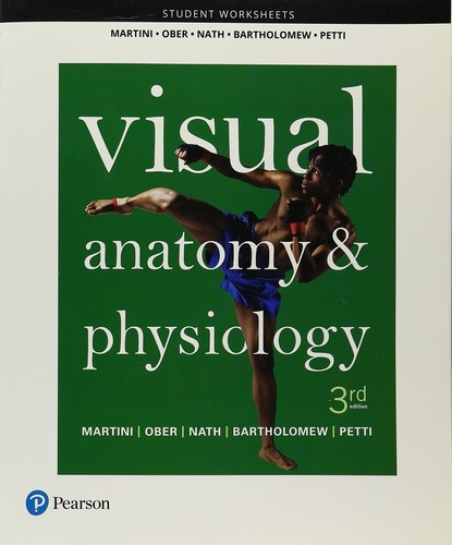 Student worksheets for visual - worksheets,