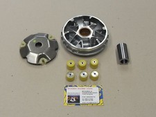 0876 - VARIATORE RMS PIAGGIO