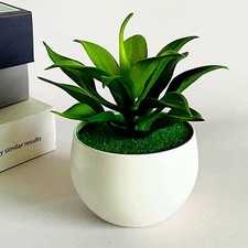 Artificiale Grasse IN Vaso