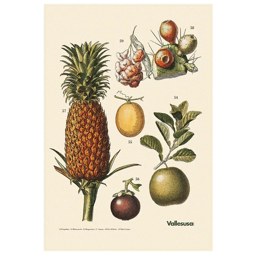 Canovaccio cucina vallesusa - canovaccio,