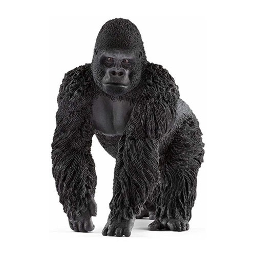 Gorilla maschio 14770 - gorilla,