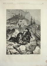 La Svizzera. Cani da pastore