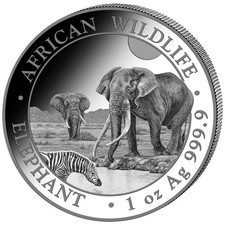 Moneta argento 1 oz Somalia elefante 2026 999 argento 100 scellini fauna selvatica africana
