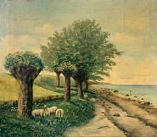 Quadro A 1955 Paesaggio Costiero Con Pecore E Kopfweiden Am Riva Baltico Bodden
