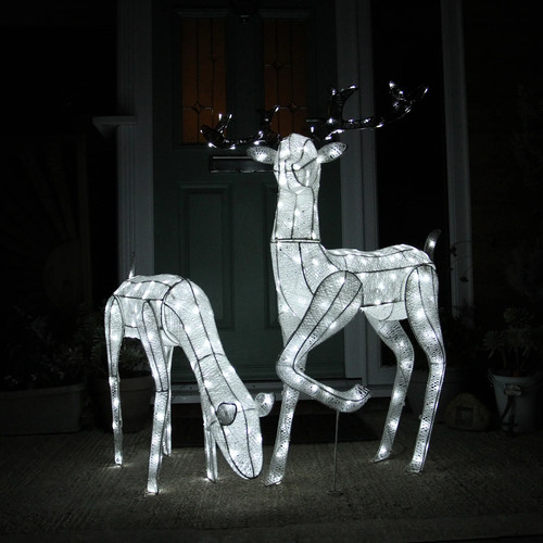 Renne natale luminose - renne,