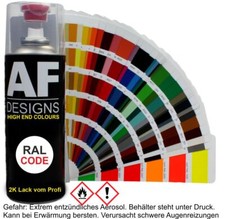 Spray vernice 2K Ral vernice