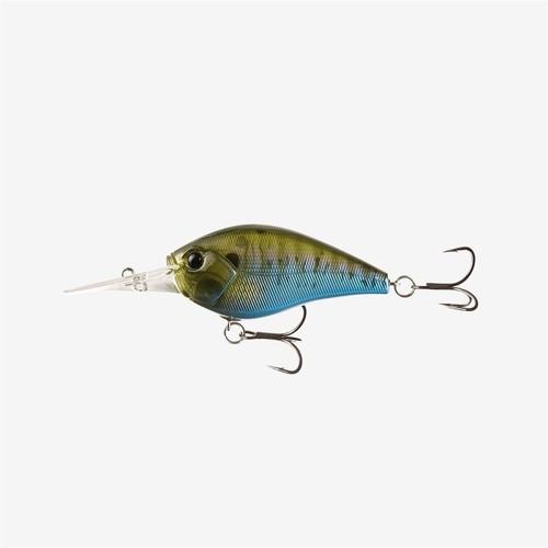 Fishing cliff banger - 13,