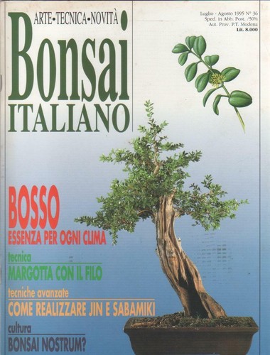 Bonsai italiano 36 - italiano.,