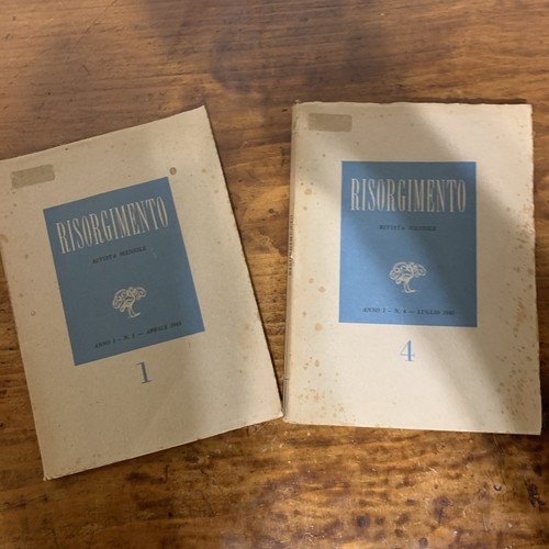 Risorgimento rivista mensile - risorgimento,
