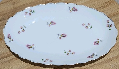 Antico shell porcellana fine - porcellana,