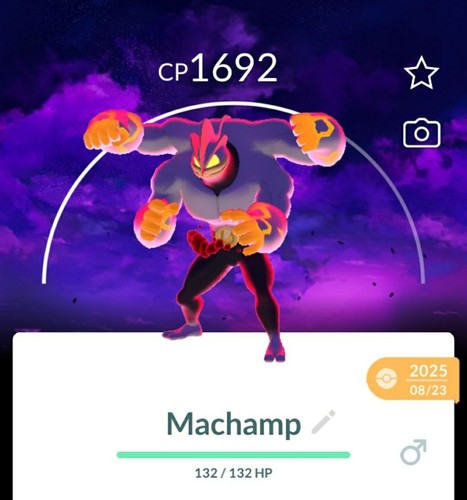 Pokemon gigantamax - gigantamax, go
