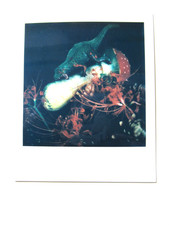 N. ARAKI: POLAROID ORIGINALE