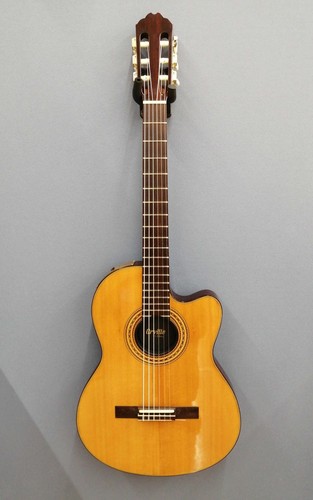 Chitarra acustica elettrica