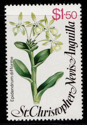 Kitts nevis qeii - st,