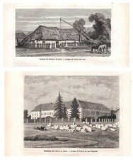 Stampe antiche ESSEK OSIJEK