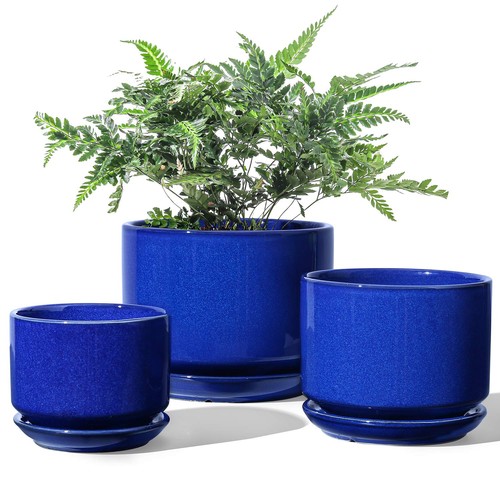 Tauci set vasi per - le,
