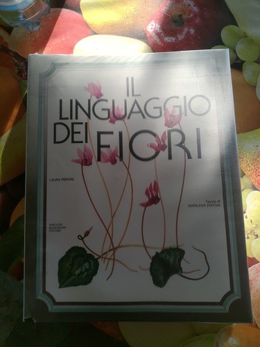 Linguaggio dei - linguaggio,
