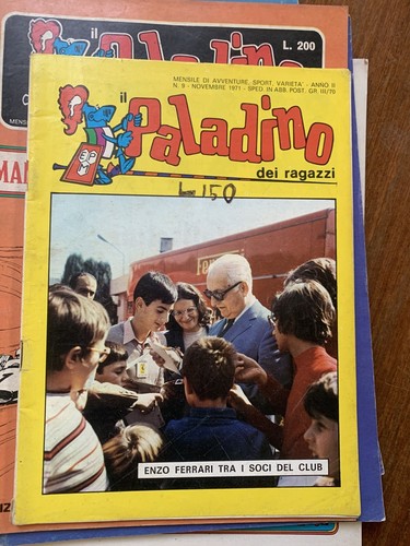 Paladino dei ragazzi - il,