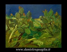 Lamberti lamberto cactus - lamberti,