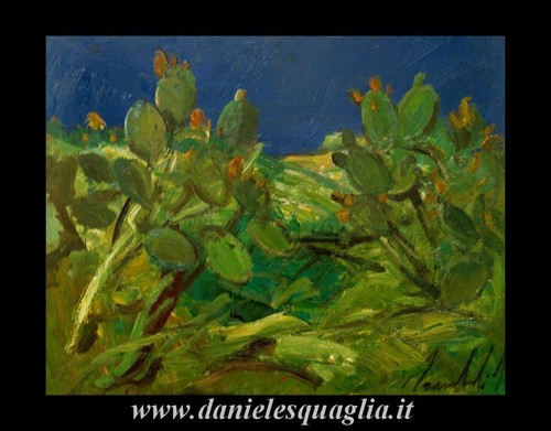 Lamberti lamberto cactus - lamberti,