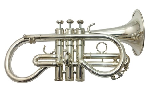 Schilke cornetta mib argentata - schilke,
