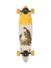 Globo Longboard Pintail 34