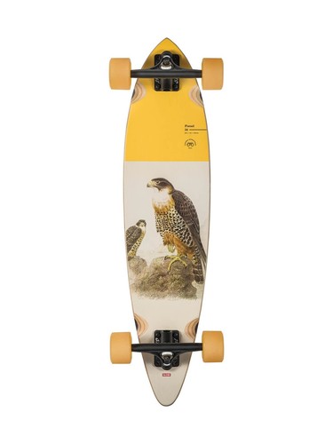 Globe longboard pintail - pintail, 34