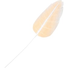  Foglie Banano Piante