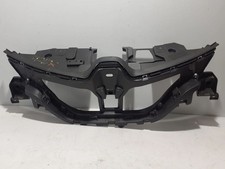 Griglia radiatore centrale