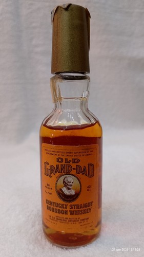 Mignon miniature old grand dad - miniature,