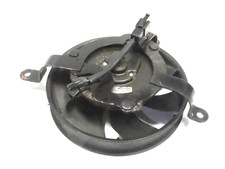 02 03 HONDA CBR 954 954RR