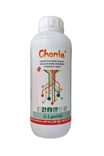 Gobbi chonia kg - gobbi,