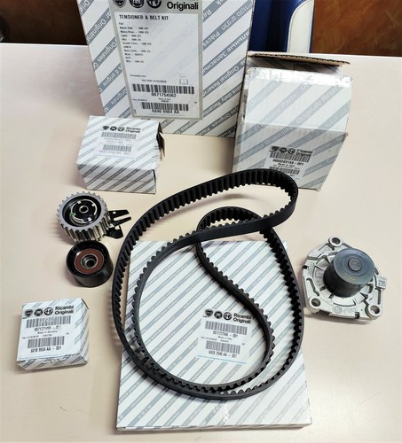 Kit cinghia distribuzione - cinghia,