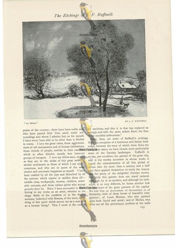Neige f raffaelli - neige,,