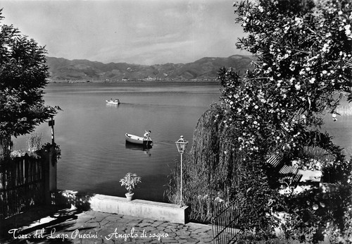 B4011 torre lago puccini - torre,