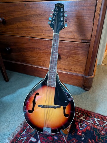 Mandolino fatto mano stagg - fatto, a