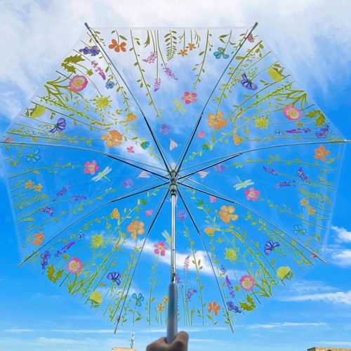 Ombrello trasparente coreano - , a