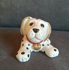 Dalmata thun con - , collare